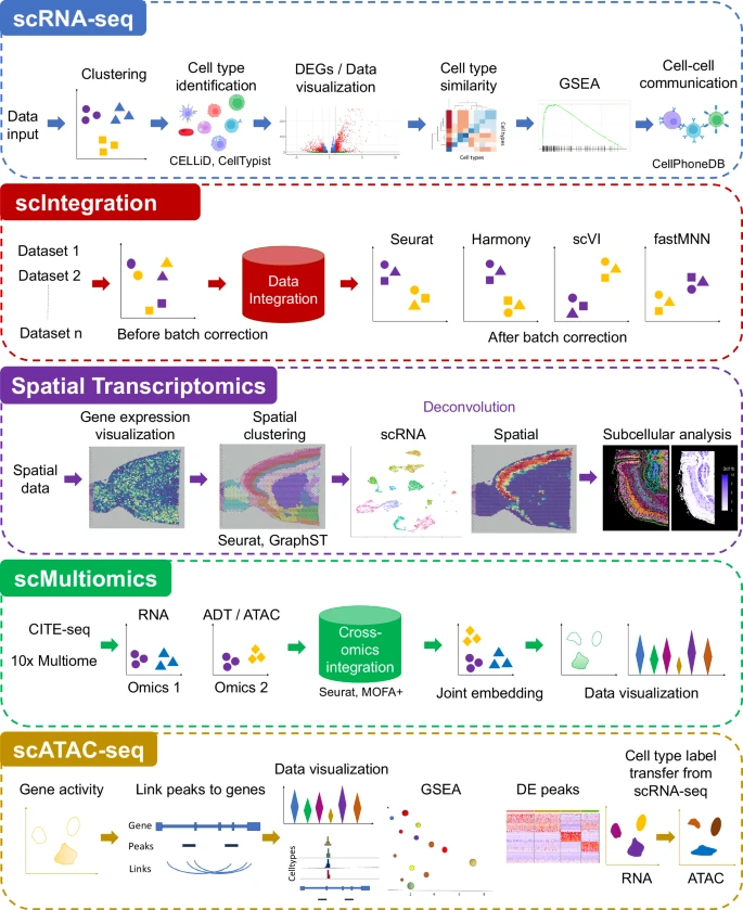 Fig. 1 ezSingleCell 网络服务概述