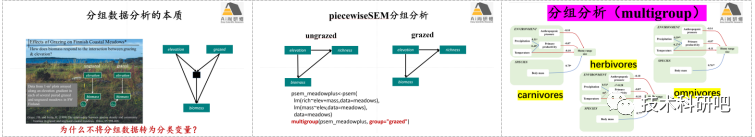 基于R语言piecewiseSEM结构方程模型在生态环境领域技术教程