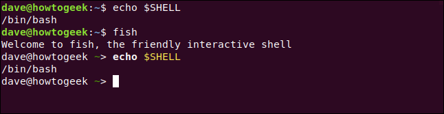 echo $SHELL in a terminal window.