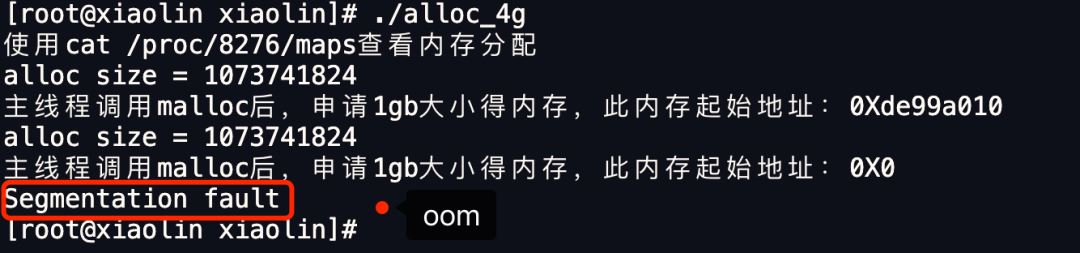 那么问题来了:在 4GB 物理内存的机器上，申请 8G 内存会怎么样呢？