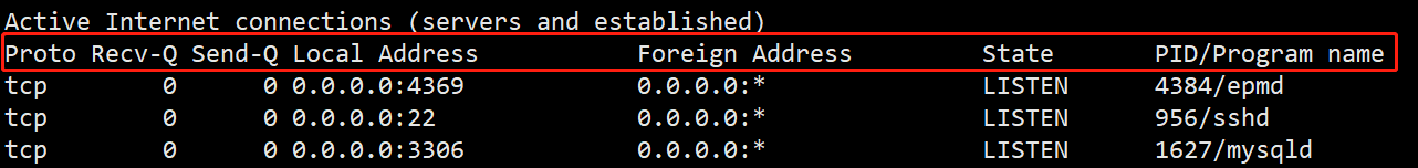 netstat信息