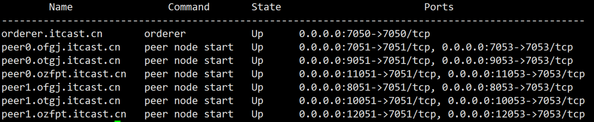 Verify that the docker container is started successfully