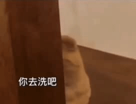 jwebbrowser要什么包抖音热门表情包大型露天式家暴现场