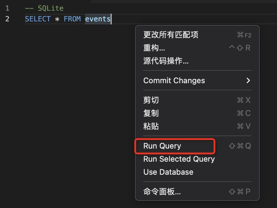 VScode第三方插件打开sqlite数据库图文教程_sqlite_07