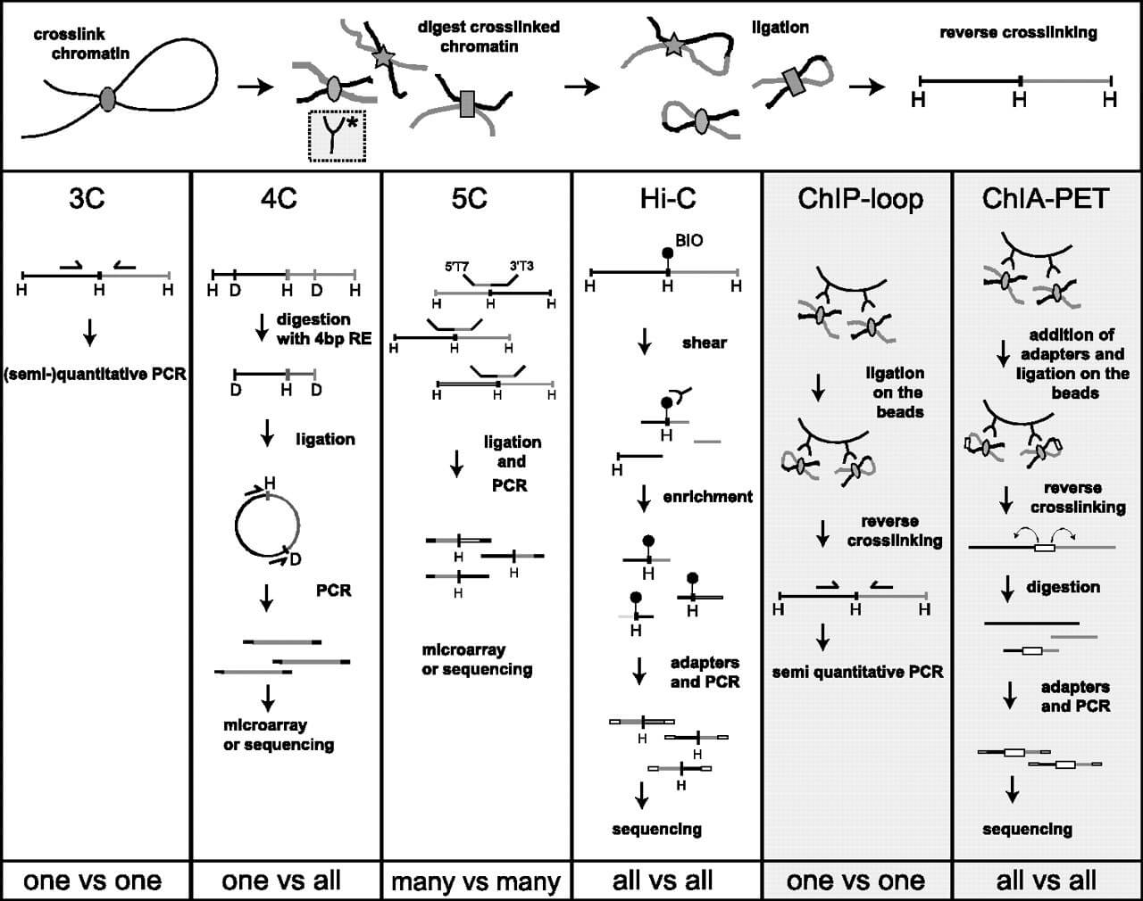 3C，4C，5C