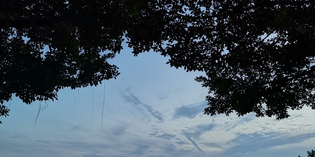 05dedf71d63d78d63cd920fe10e9f59a.png