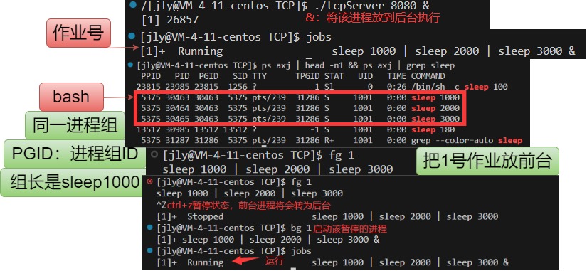 【网络编程】详解UDP/TCP套接字的创建流程+守护进程