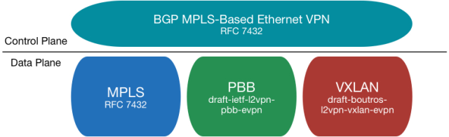EVPN简介
