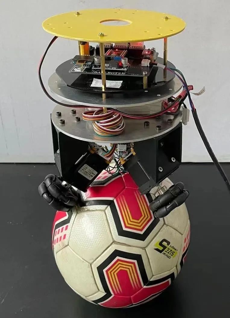 stm32自平衡机器人项目 附代码 电路图等资料