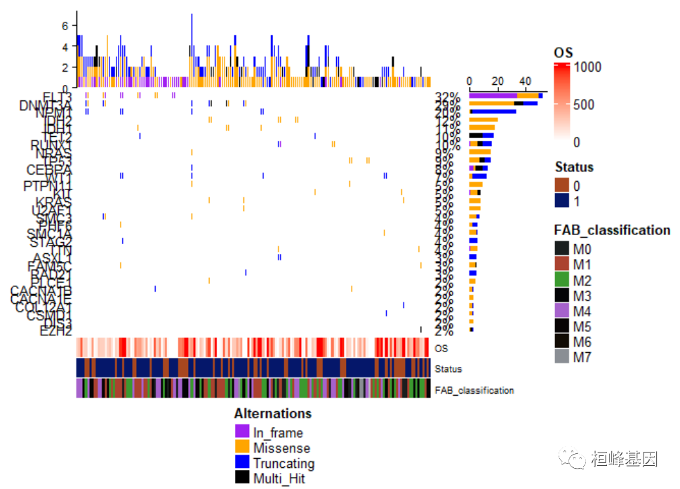 DNA 6. 基因组变异之绘制精美瀑布图（ComplexHeatmap）