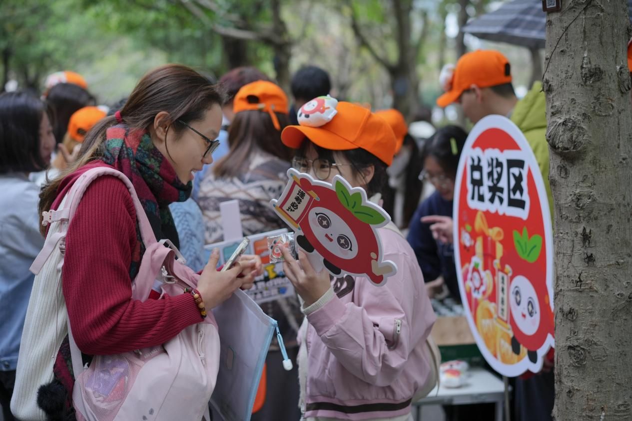 PMP知识点太多不知道怎么下手咋办？