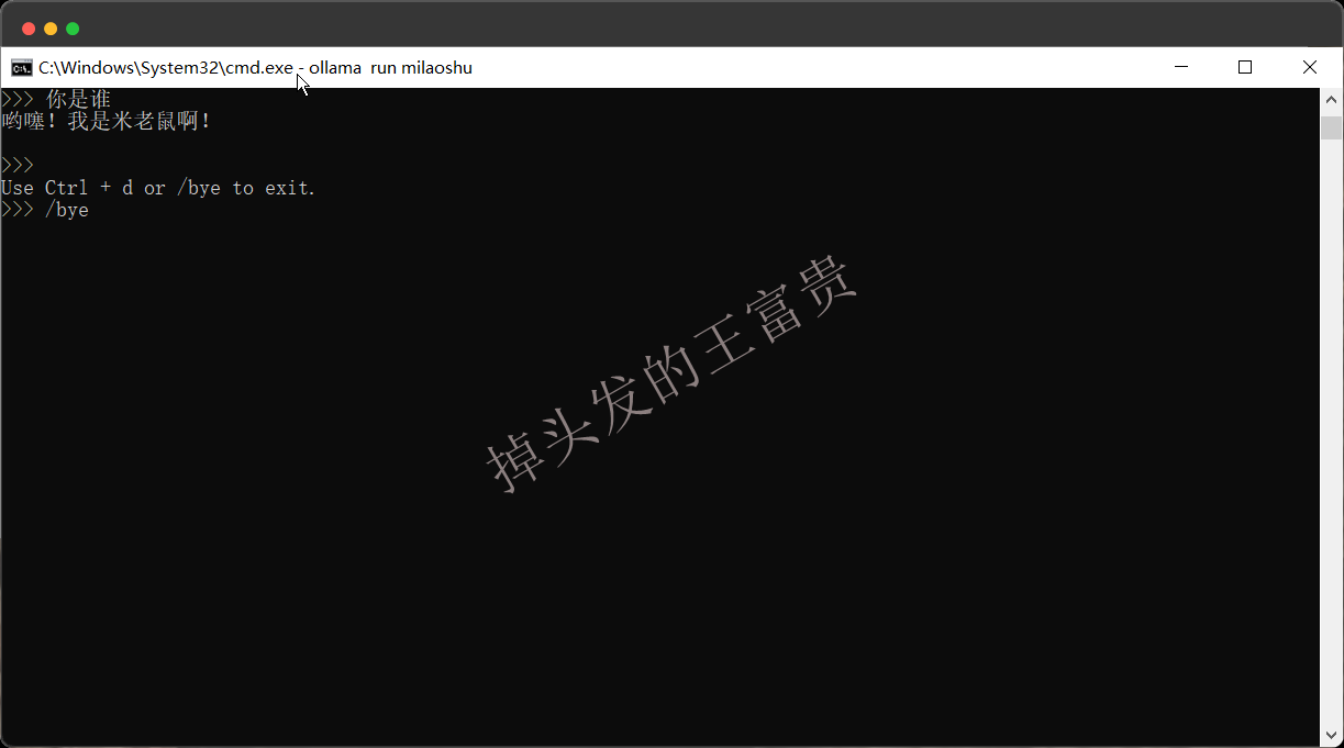 image-20241023112907324