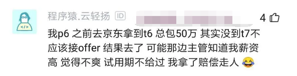 阿里P7面试京东，被降薪50%评为T7，吐槽“不爱请别伤害”