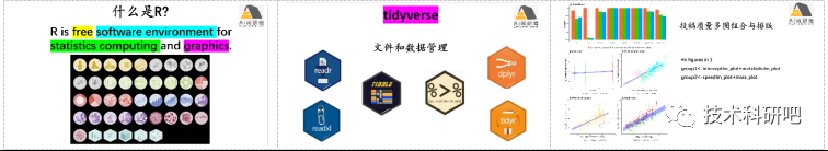 基于R语言（SEM）结构方程模型教程