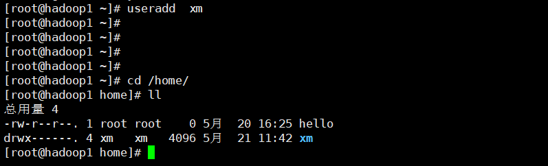 image-20210521114644804