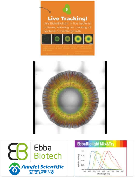 Ebba Biotech 艾美捷EbbaBioligh活细胞示踪染料