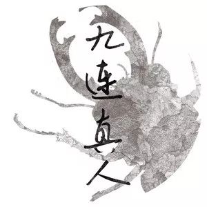 九连真人乐队 logo他们认为甲虫代表坚强,又在连平很常见,于是选来