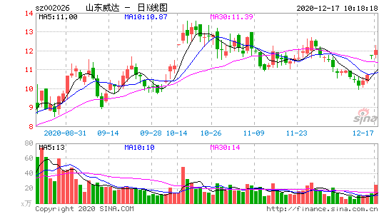 002026-山东威达