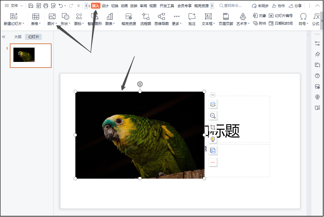 ppt抠图怎么抠图_自动抠图