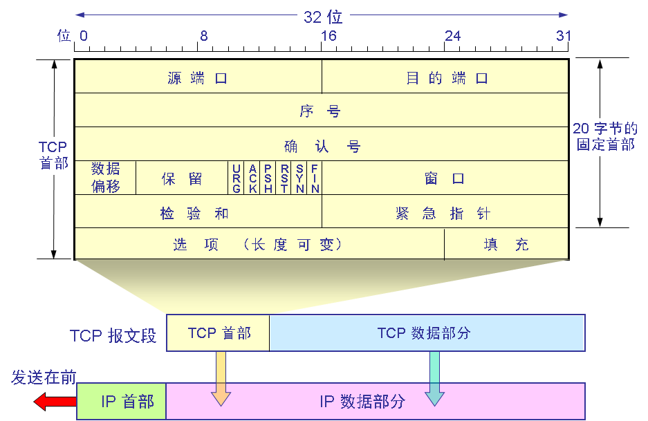 TCP 报文段结构