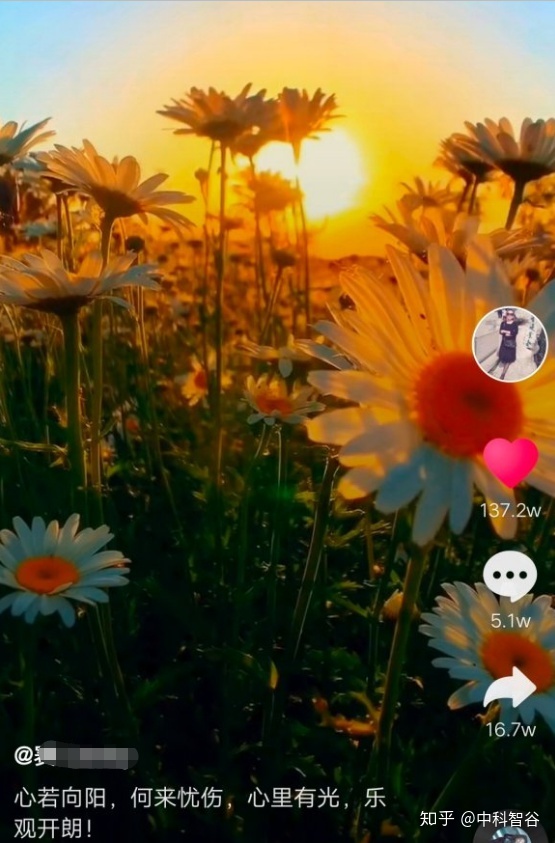 08a05a23e982aebb63932f1d8c54bee9.png