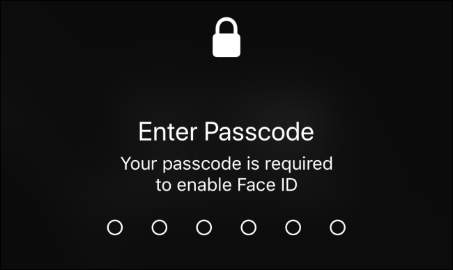 The "Enter Passcode" screen on iPhone.