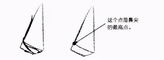 画渣入门必修课，超详细的动漫人物五官画法！（耳鼻篇）