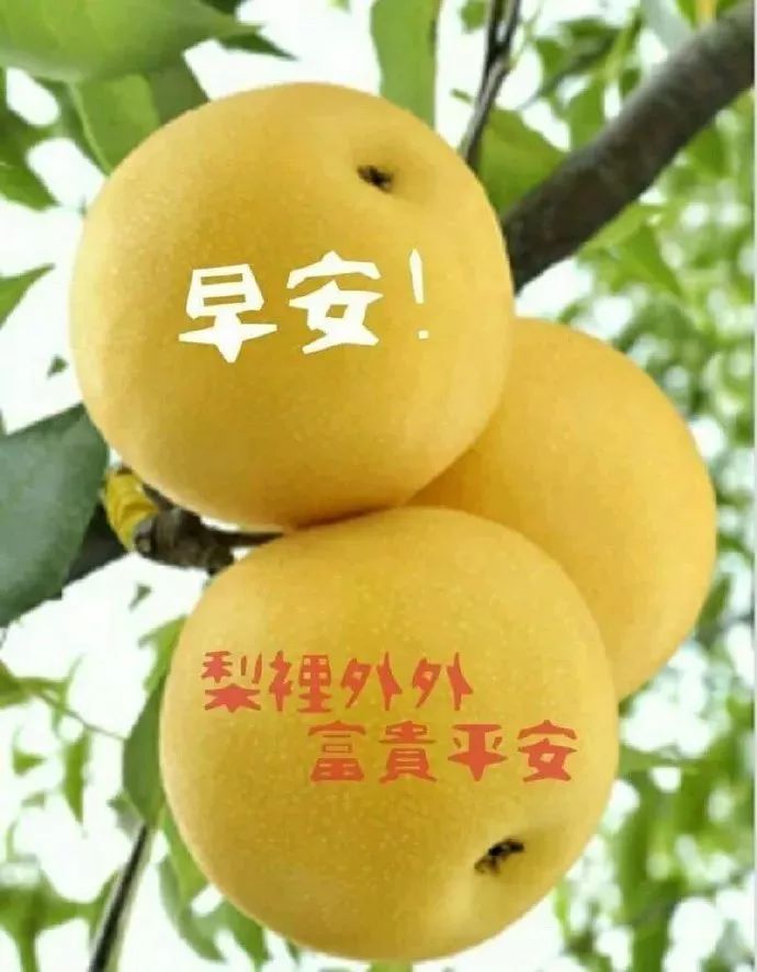 微信红包数字变化动态图片微信唯美早安心情说说句子特漂亮的早上好
