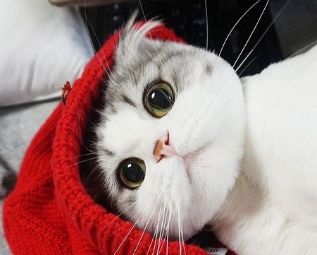 09243b2e41cb7efa31980d9e76ae7d4f.png