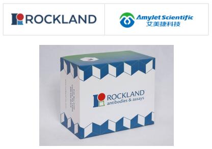 Rockland Immunochemicals丨CCP110抗体说明书