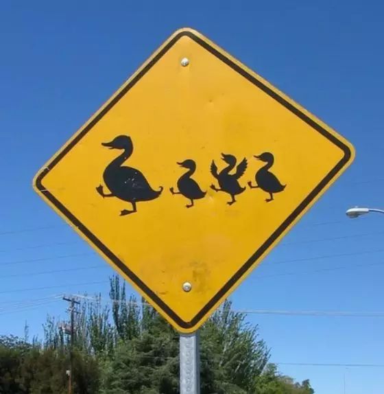 看看外国的路标?-csdn博客