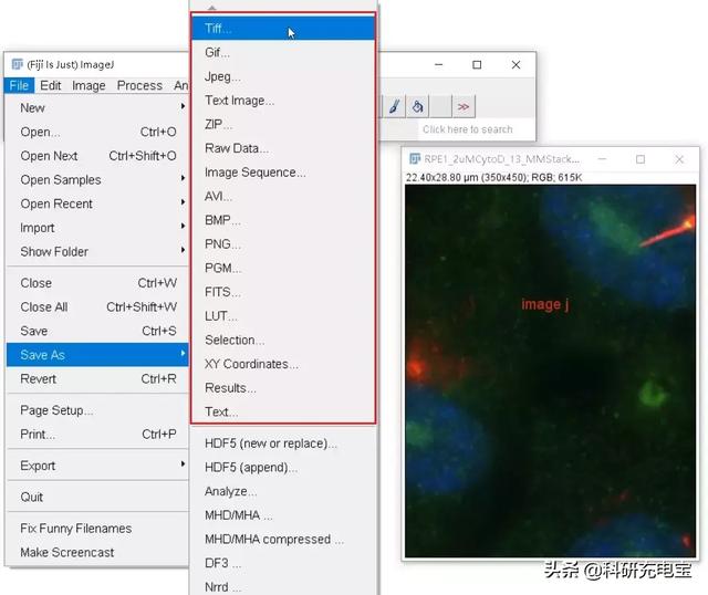 gels imagej 图片处理_Image J基本操作:万丈高楼平地起,骚操作还要基础牢_weixin_39777497的博客-CSDN博客