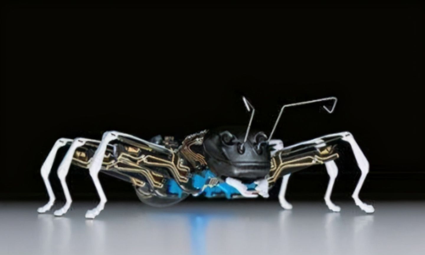 通过生物身上寻找研发灵感,比如费托斯就是有名的仿生机器人发明专家