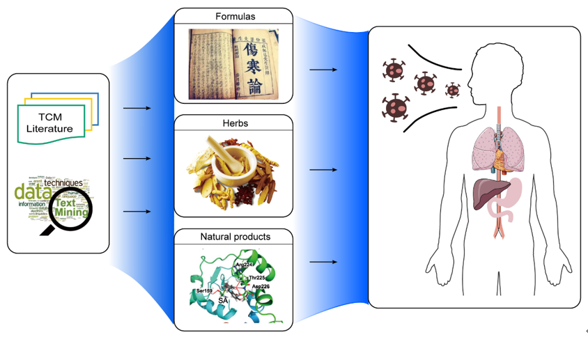 imeta最高引論文30篇