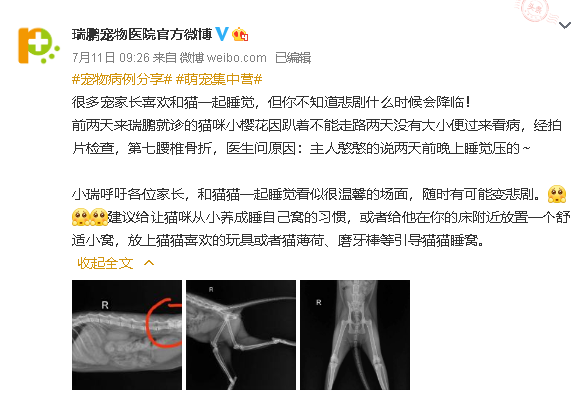 喜欢和宠物一起睡觉的铲屎官们,睡前请做好这些功课_a309147563的博客