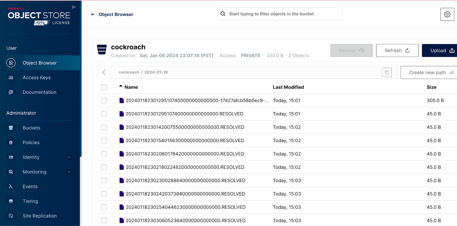 使用 CDC MinIO 汇入端为 CockroachDB 保持持久数据