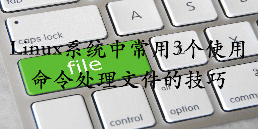 Linux文件重命名:从图形界面到命令行的转换