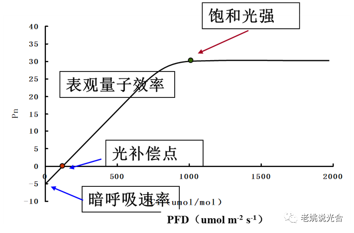 使用R语言和软件计算光响应曲线（表观量子效率，光饱和点，光补偿点，暗呼吸）