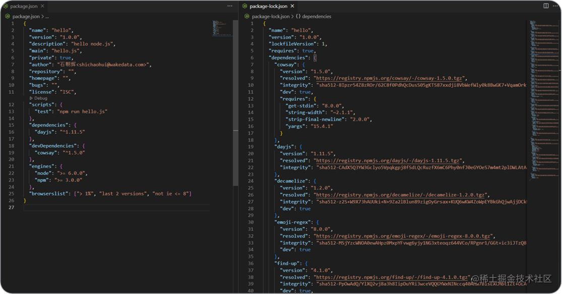 package.json 和 package-lock.json