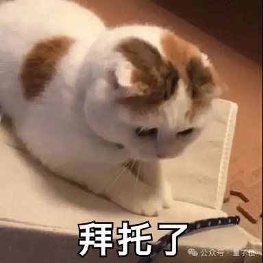 0b47510f0225fa08c5999cf1e21d55a0.png