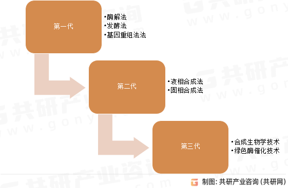 多肽药物是指通过生物合成法或者化学合成法获得的具有特定治疗作用的多肽，多肽药物的分子量介于小分子化药和蛋白质类药物之间，形成了其独特药学空间。多肽药物相比于小分子化药及蛋白质类药物的优势在其发展过程中被逐渐发掘，其在质量控制水平方面接近小分子化药，活性上接近于蛋白质药物，兼具二者优点，更适用于解决小分子化药难以解决的复杂疾病。多肽药物合成方法