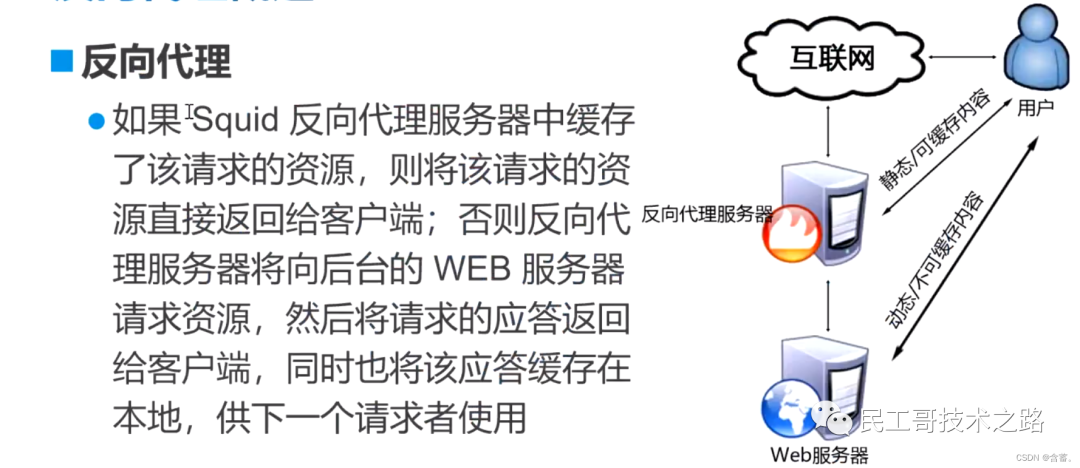 玩转企业常见应用与服务系列（八）：开源代理服务软件 Squid 详解-CSDN博客