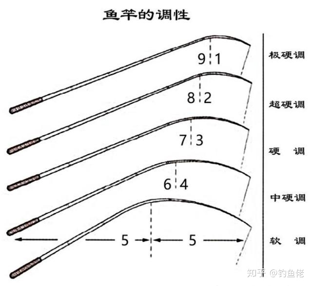 是什么调性什么是鱼竿的调性此文说的明明白白钓鱼新手看一遍就懂