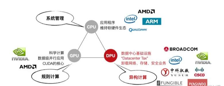 智能网卡-提升网络性能的新选择