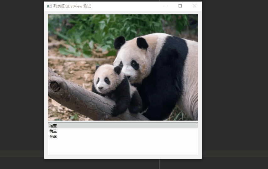 入门 PyQt6 看过来（案例）11~ 熊猫展览馆_开发语言
