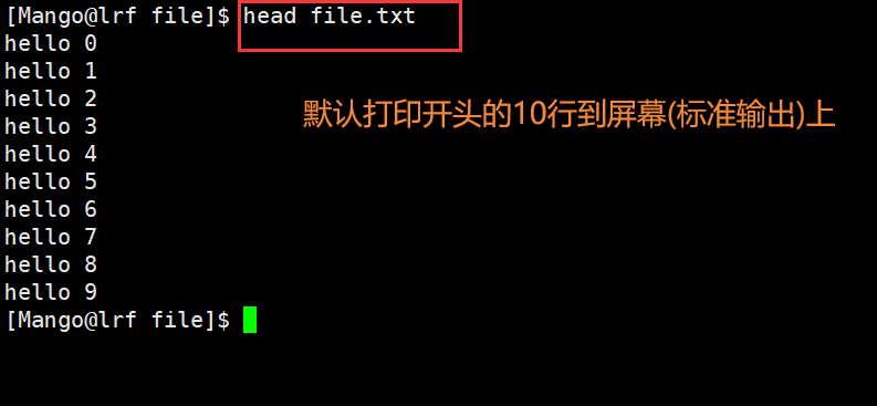image-20220227102423553