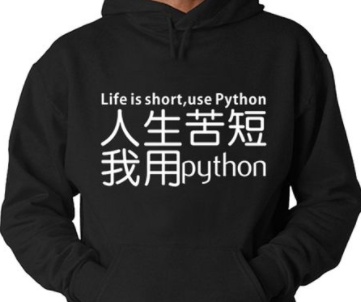 python requests返回值为200 但是text无内容_Python简单爬虫【入门必学】