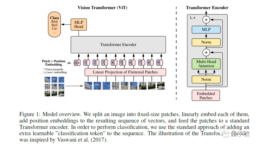 清华 计图 迎来重大更新 支持热门的可微渲染,多项cv任务速度超越pytorch...