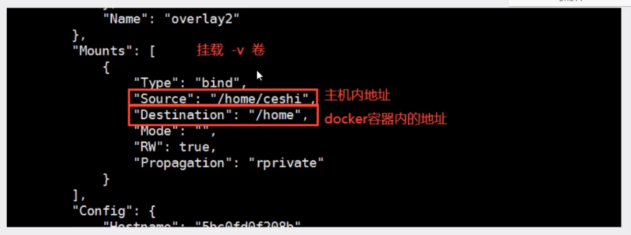 image-20210401094926799