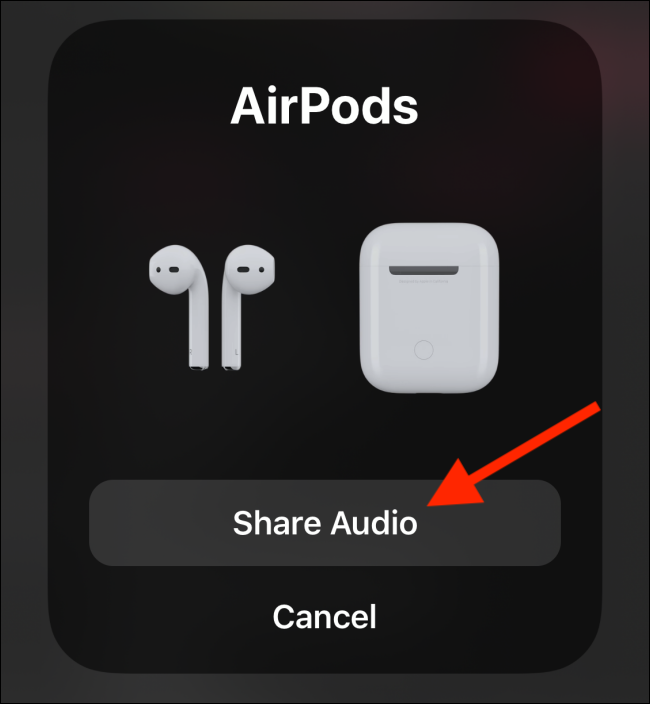 Tap on Share Audio